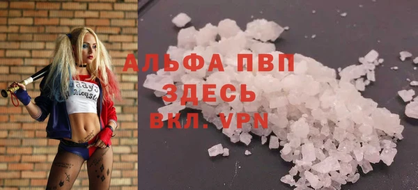 трава Аркадак