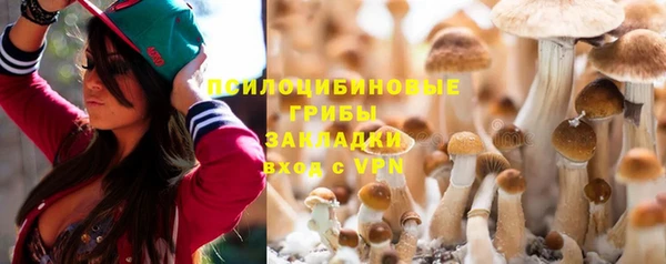 трава Аркадак