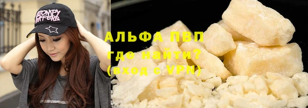 трава Аркадак