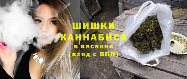 трава Аркадак