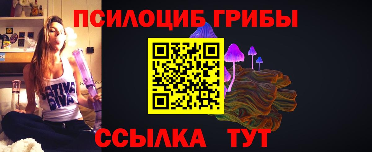 Псилоцибиновые грибы мицелий  Псилоцибиновые грибы MAGIC MUSHROOMS  Вход с VPN  Заречный 